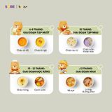  Nồi Nấu Chậm 1.0L Bear SB-NNC10 