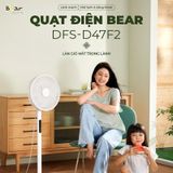  Quạt Cây Bear DFS-D47F2 