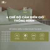  Quạt Cây Bear DFS-D47F2 