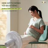  Quạt Cây Bear DFS-D47F2 