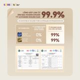  Nồi Nấu Chậm 1.0L Bear SC-4H10E 