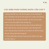  Nồi Cơm Điện Bear SB-NC30B 
