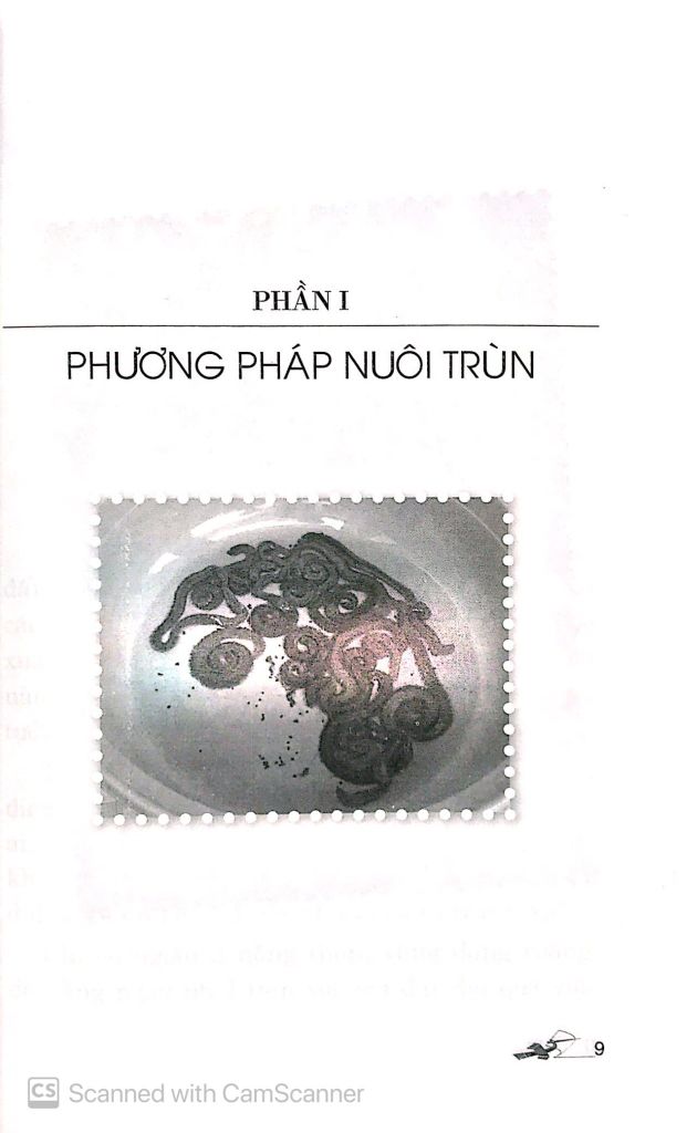 Kỹ Thuật Nuôi Trùn Giòi - Tạo Nguồn Thực Phẩm Bổ Dưỡng Cho Gia Cầm - Gia Súc