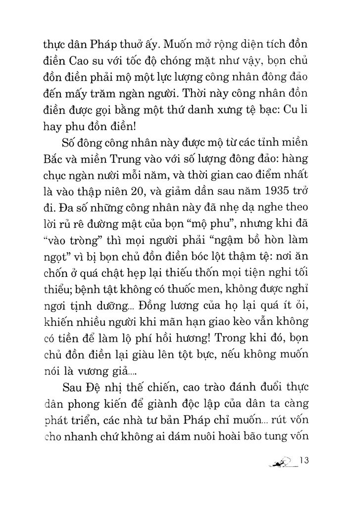 Kỹ Thuật Trồng Cây Cao Su Với Diện Tích Nhỏ