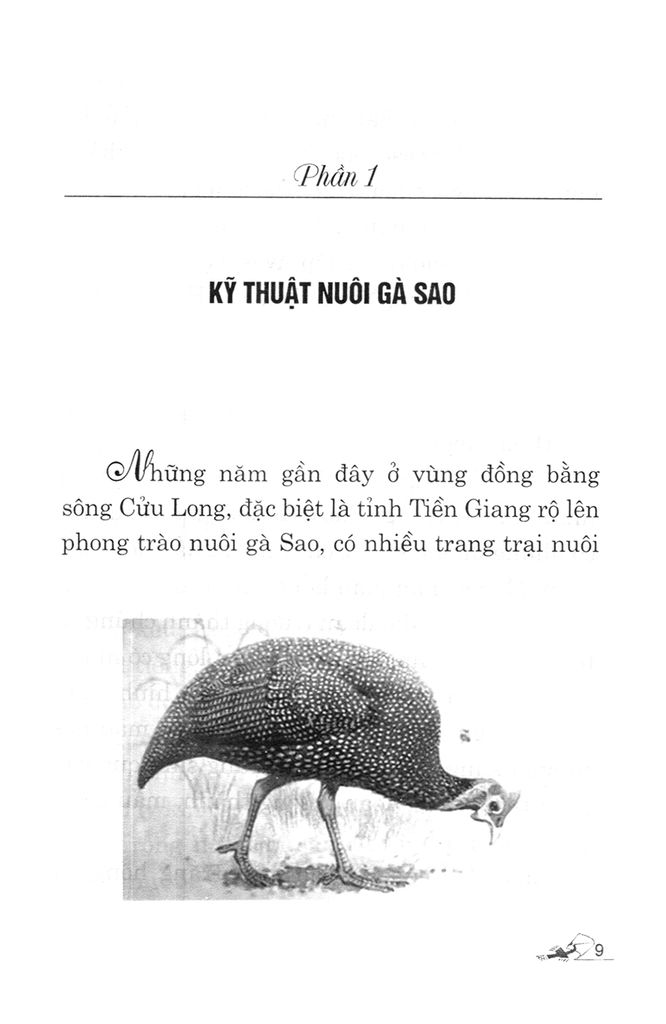 Kỹ Thuật Nuôi Gà Sao, Gà Tây (Lôi), Gà H'mông - Vanlangbooks
