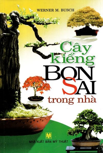 Cây Kiểng Bonsai Trong Nhà