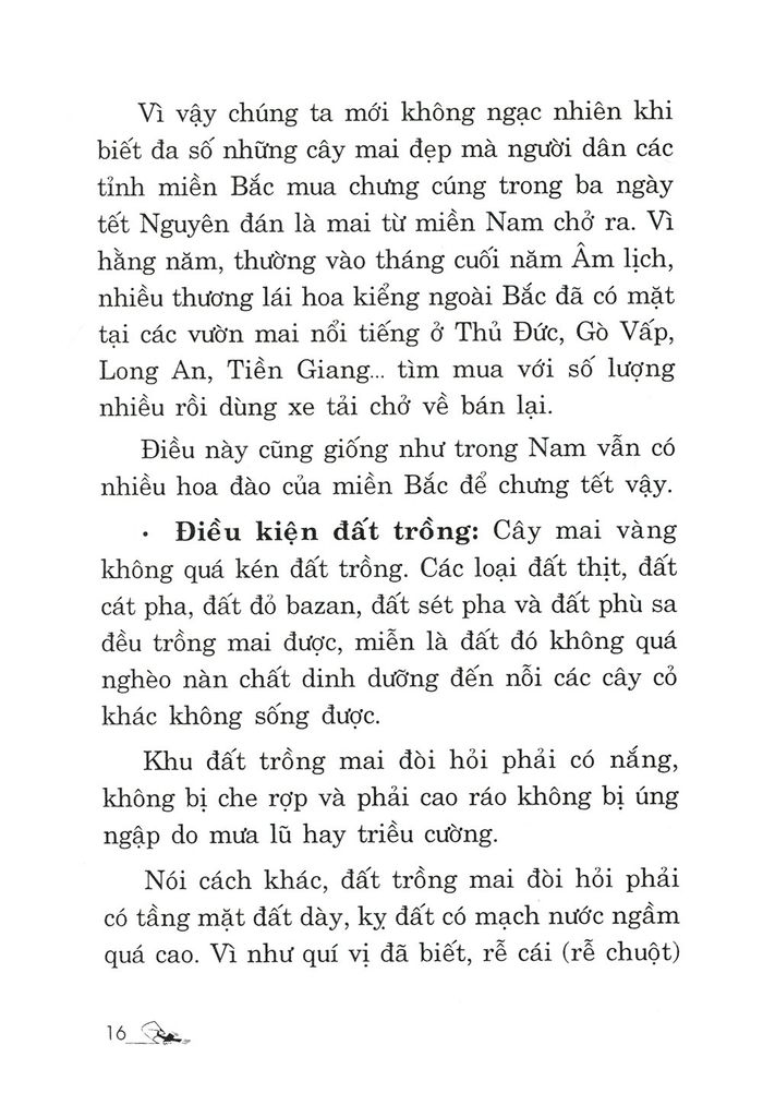 Trồng Mai - Kỹ Thuật Bón Tưới, Phòng Trừ Sâu Rầy, Bệnh Hại