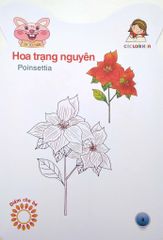 Bé tô màu - Các loài hoa