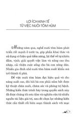 Kỹ Thuật Nuôi Tôm Hùm