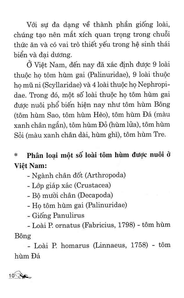 Kỹ Thuật Nuôi Tôm Hùm