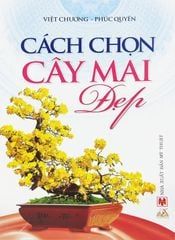 Cách Chọn Cây Mai Đẹp - Vanlangbooks