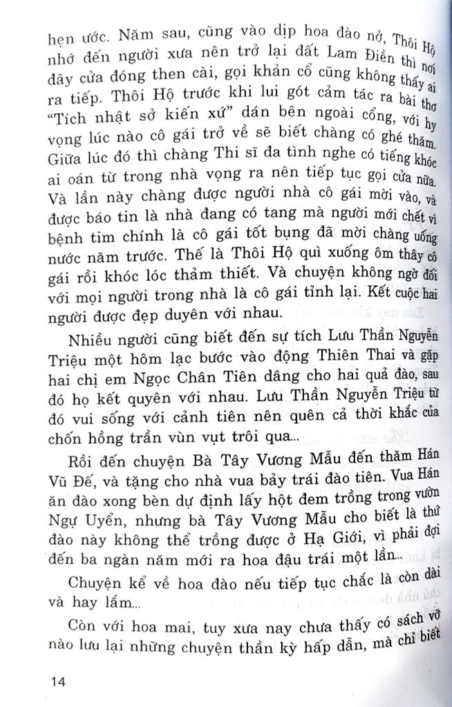 Cách Chọn Cây Mai Đẹp