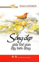 Sống đẹp giữa thế gian đầy biến động - Vanlangbooks