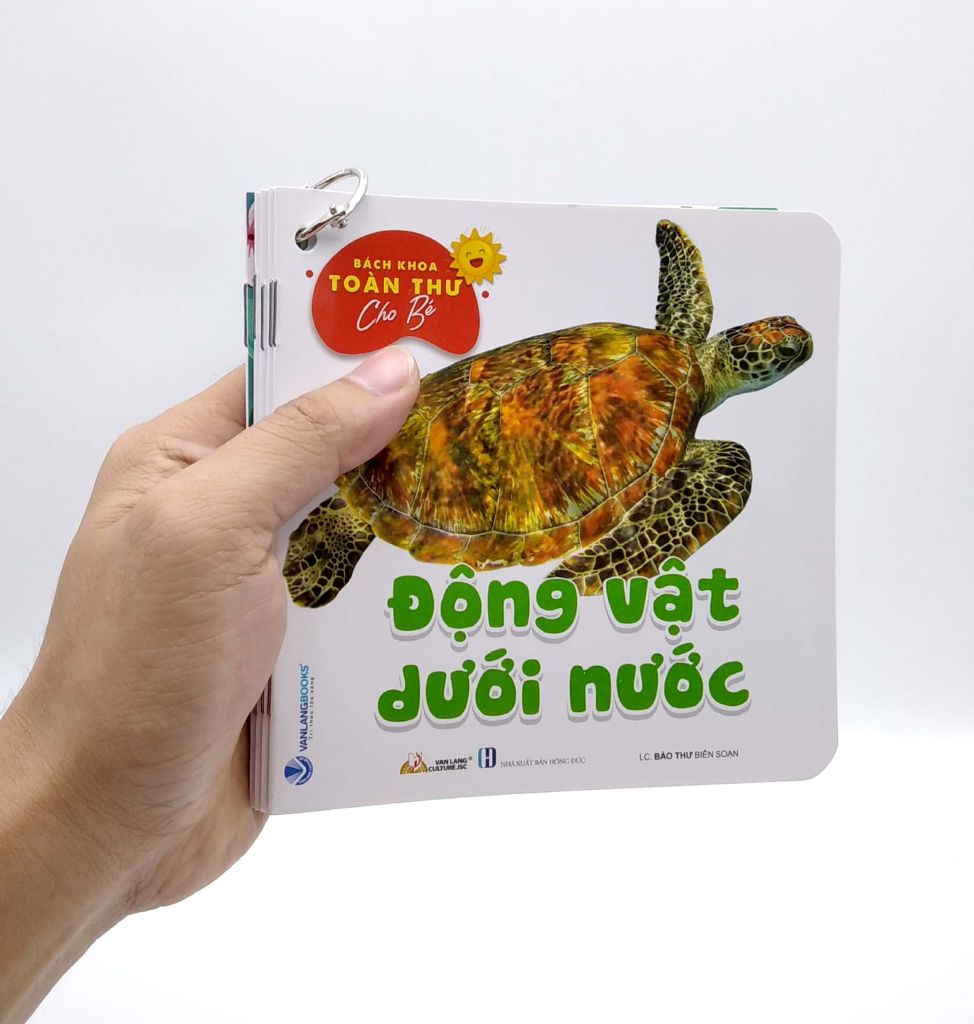 Bộ Bách Khoa Toàn Thư Cho Bé - Động Vật Dưới Nước (Bộ 5 Cuốn) - Vanlangbooks