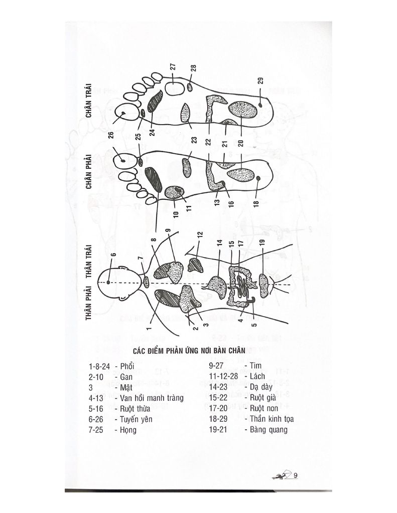 Bấm huyệt bàn chân (Tái bản 2023) - Vanlangbooks