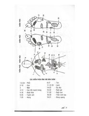 Bấm huyệt bàn chân (Tái bản 2023) - Vanlangbooks