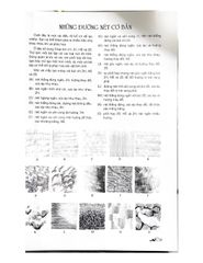 Bí Quyết Vẽ Bút Chì (Tái bản 2023) - Vanlangbooks