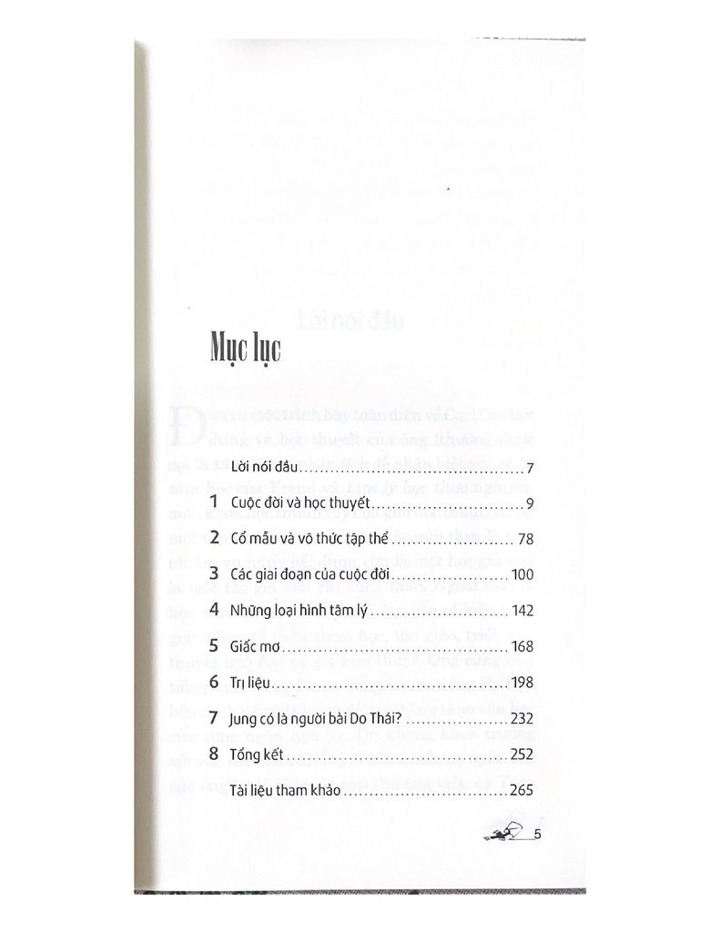 Dẫn Luận Về Jung - Vanlangbooks