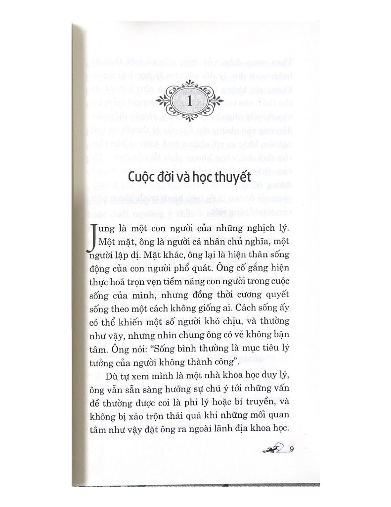 Dẫn Luận Về Jung - Vanlangbooks