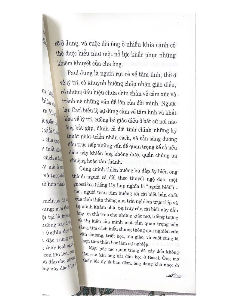 Dẫn Luận Về Jung - Vanlangbooks