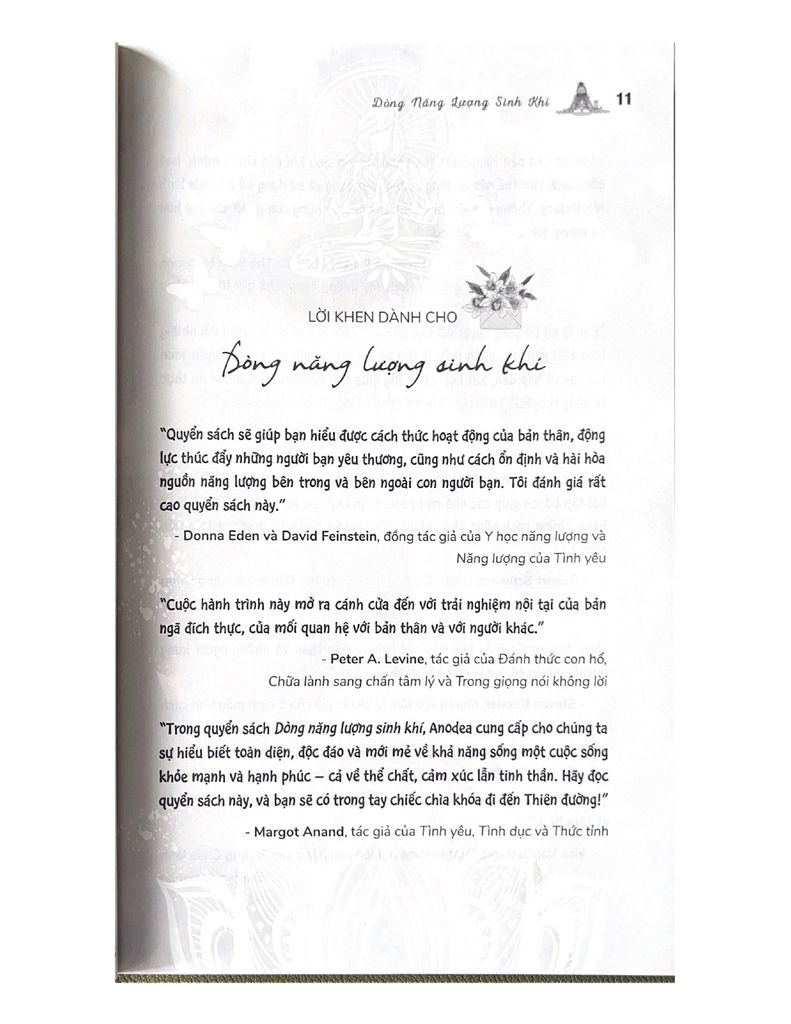 Dòng Năng Lượng Sinh Khí - Anodea Judith - Vanlangbooks