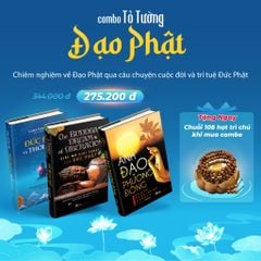 Combo Tỏ Tường Đạo Phật - Vanlangbooks