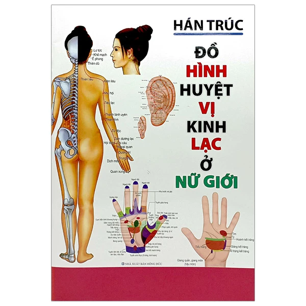 Đồ Hình Huyệt Vị Kinh Lạc Ở Nữ Giới - Minh Lâm