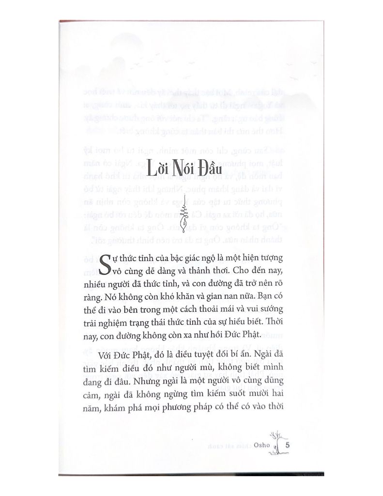 Như Chim Sải Cánh - Vanlangbooks