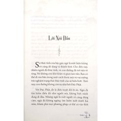 Như Chim Sải Cánh - Osho