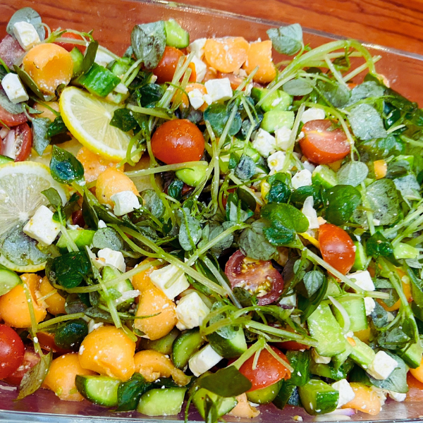  SALAD PHÁP 