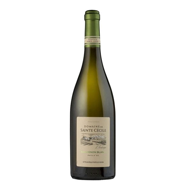  Rượu vang Domaine de Sainte Cecile Sauvignon Blanc 