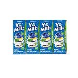  Lốc Sữa chua uống Yomilk hương Việt Quất 170ml 