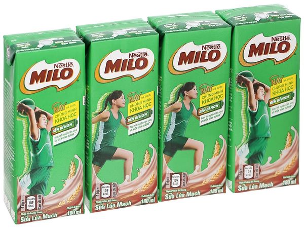  Lốc Sữa Tươi Lúa Mạch Milo Có Đường 180ml 