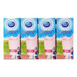  Lốc Sữa Tươi Tiệt Trùng Cô Gái Hà Lan Dâu 180ml 