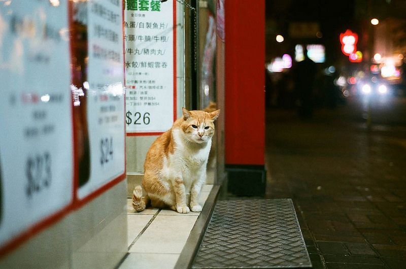 Fujifilm Superia X-tra 400 (36 kiểu)