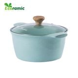  Nồi Đúc Vân Đá Đáy Từ Ecoramic Platinum 