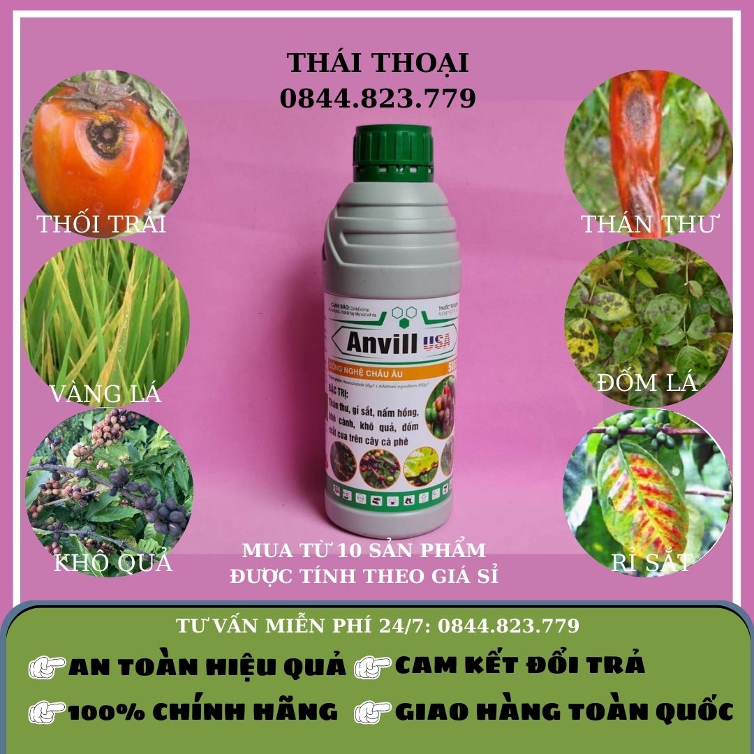 Thông Tin Chi Tiết Về Thuốc Trị Nấm Hồng Rỉ Sắt