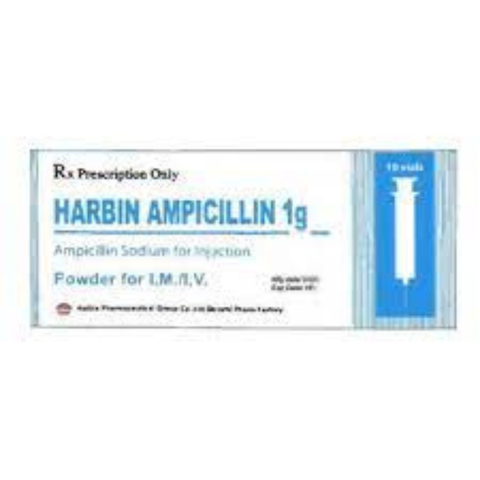 Harbin Ampicillin 1g (inj) hộp 10 lọ