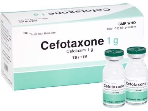Cefotaxone 1g hộp 10 lọ