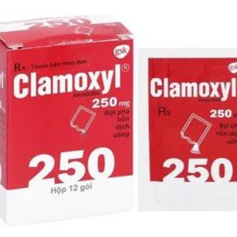 Clamoxyl 250mg hộp 12 gói
