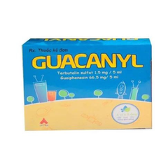 Guacanyl siro điều trị viêm đường hô hấp trên Hộp 20 ống