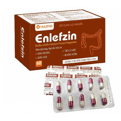 Enlefzin hỗ trợ tiêu hóa hộp 60 viên