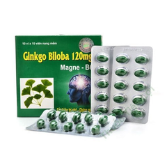 Ginkgo Biloba 120Mg Hà Tây