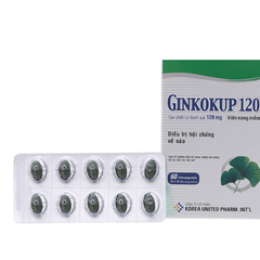 Ginkoup 120mg hộp 60 viên
