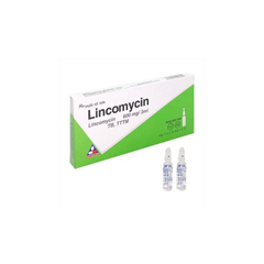 Lincomycin 600 Vĩnh Phúc inj hộp 10 ống