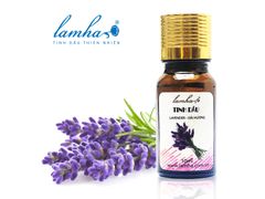 Tinh Dầu Oải Hương 10ml Hộp 1 Chai