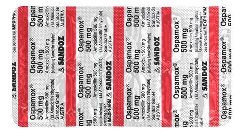 Ospamox 500mg trị nhiễm khuẩn 100 vỉ x 10 viên