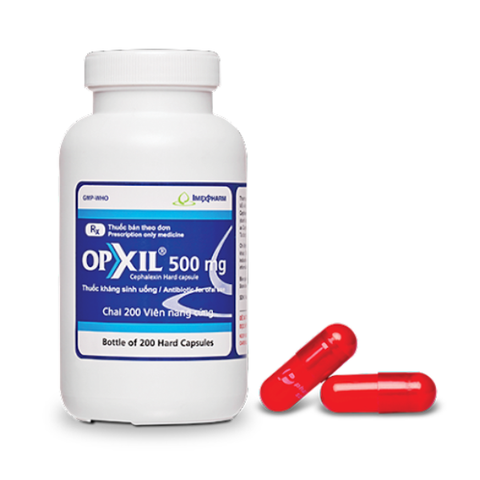 Pms-Opxil 500mg chai 200 viên