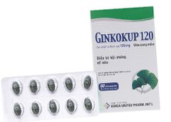 Ginkokup 40mg