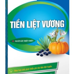 Tiền Liệt Vương hộp 30 viên